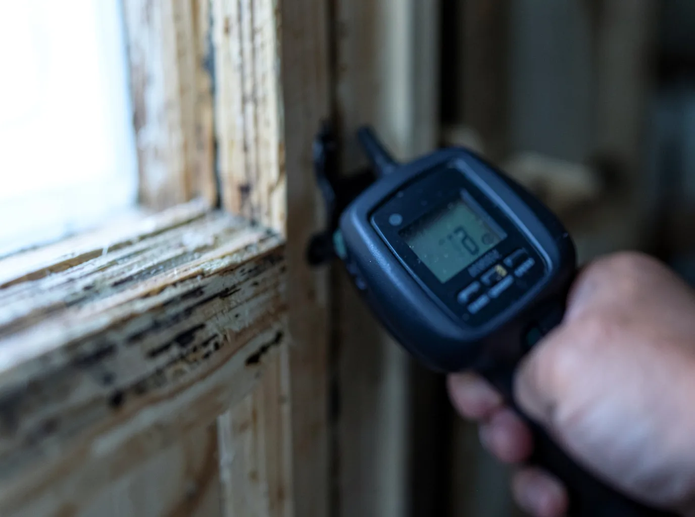 Commercial Water Damage Restoration in Bottineau, ND